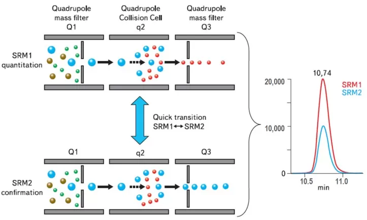 Triple quadrupole MS in MRM mode showing Q1 precursor selection, Q2 CID, and Q3 product ion selection with quantitation and confirmation transitions