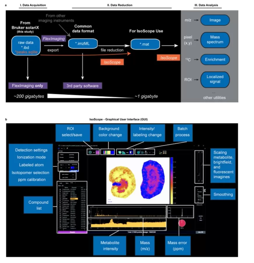 IsoScope Data-Analysis Workflow and Graphical User Interface