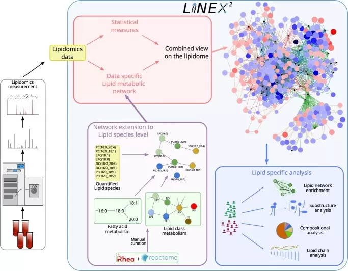 LINEX2 network and structure aware analysis workflow for lipidomics data