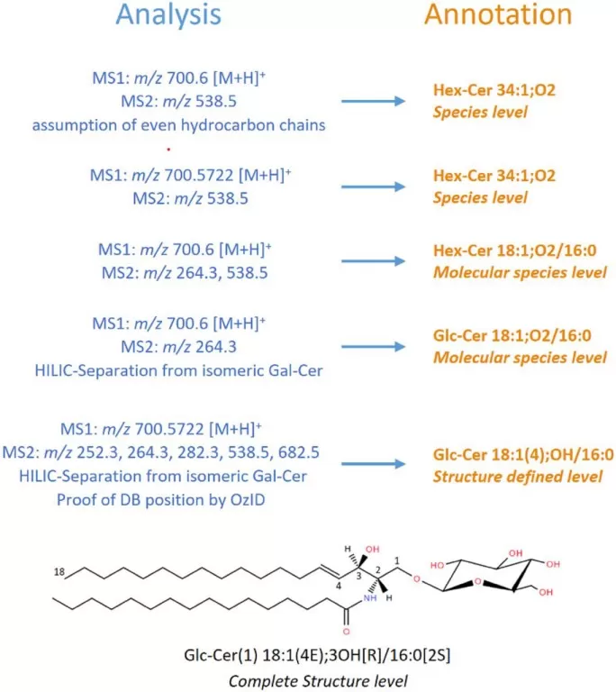 hierarchical lipid annotation for glucosylceramide from sum composition to fully defined structure