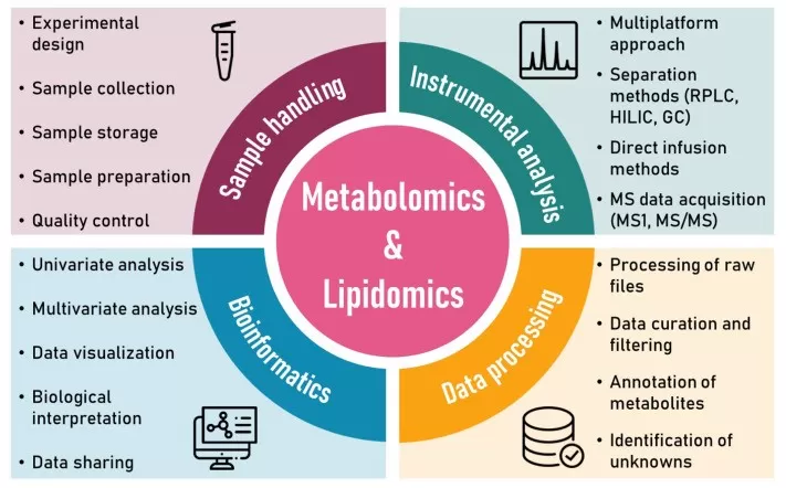 shared metabolomics and lipidomics data analysis workflow from sample handling to bioinformatics interpretation
