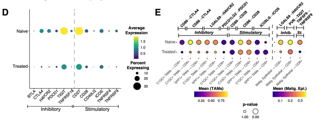 single-cell analysis reveals chemotherapy-associated changes in immune checkpoint signaling in pancreatic cancer