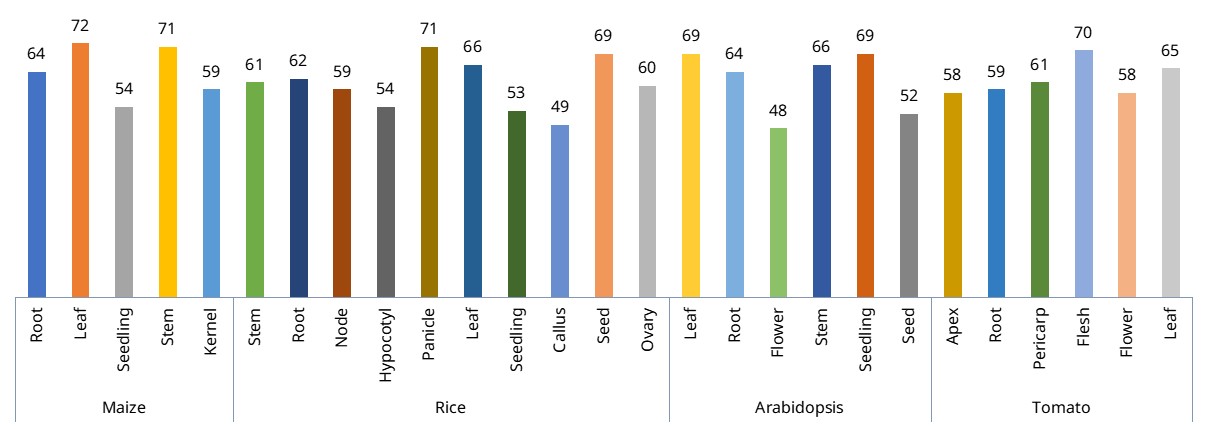 Number of phytohormones detected across representative maize, rice, Arabidopsis, and tomato tissues