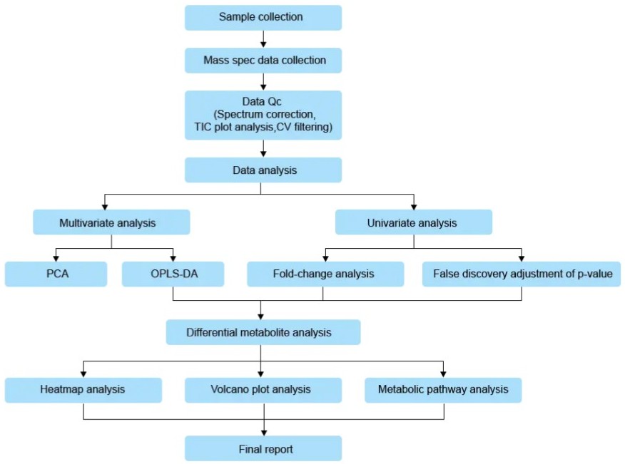 Data analysis pipeline for plant hormone targeted metabolomics including quality control, statistical analysis, differential hormone analysis, and pathway interpretation