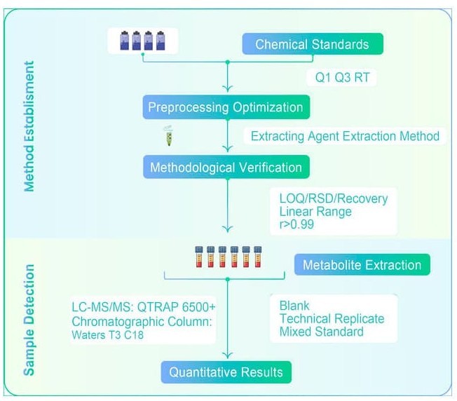Technical route of plant hormone targeted metabolomics using chemical standards, optimized extraction, LC-MS/MS MRM detection, and quantitative analysis