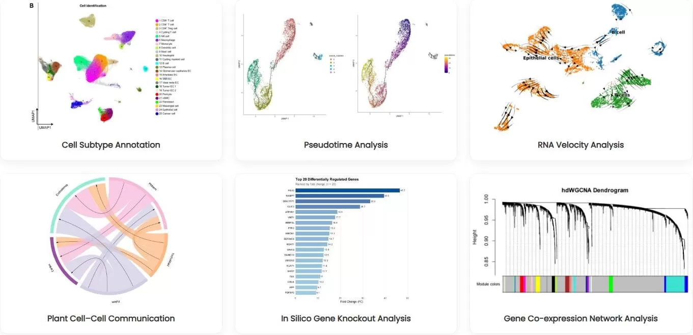 representative downstream analyses of single-cell RNA sequencing data