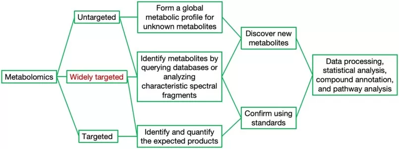 Targeted widely targeted and untargeted metabolomics approaches comparison