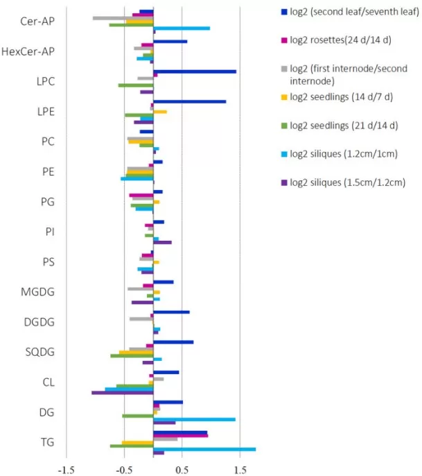 Log2 fold changes in Arabidopsis lipid classes within tissue types across developmental stages or sampling positions