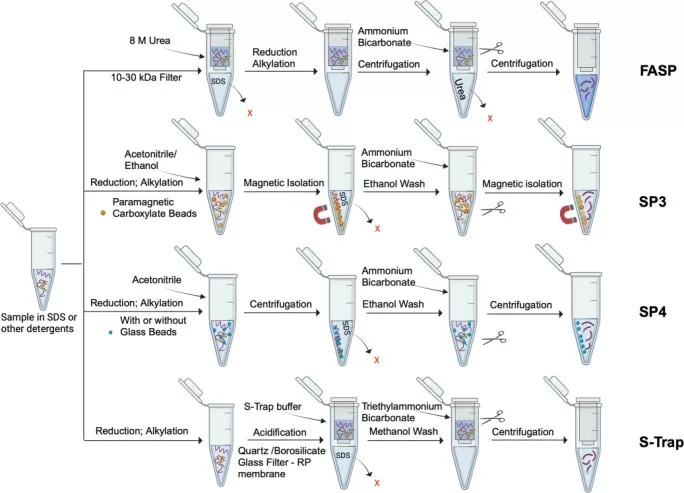 detergent removal workflows FASP SP3 SP4 and S-Trap for membrane proteomics LC-MS/MS analysis