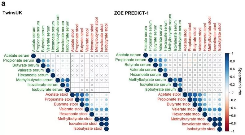 Fasting serum and fecal SCFA correlation matrices in TwinsUK and ZOE PREDICT-1.