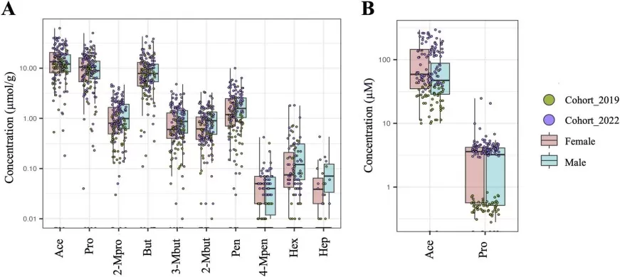 Fecal and plasma SCFA concentrations in 157 healthy Thai adults, shown by sex and cohort.