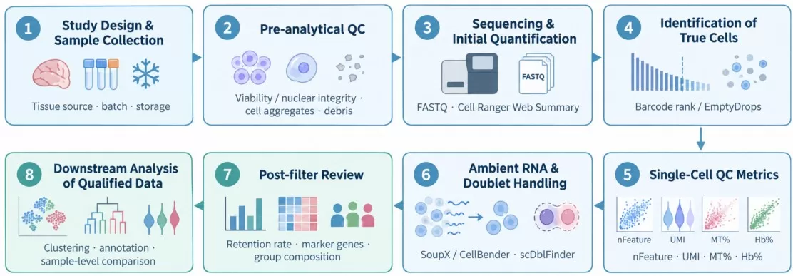Overview of the scRNA-seq QC workflow, from sample preparation through downstream analysis