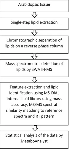 Untargeted plant lipidomics workflow from sampling and lipid extraction to LC-MS analysis and data interpretation