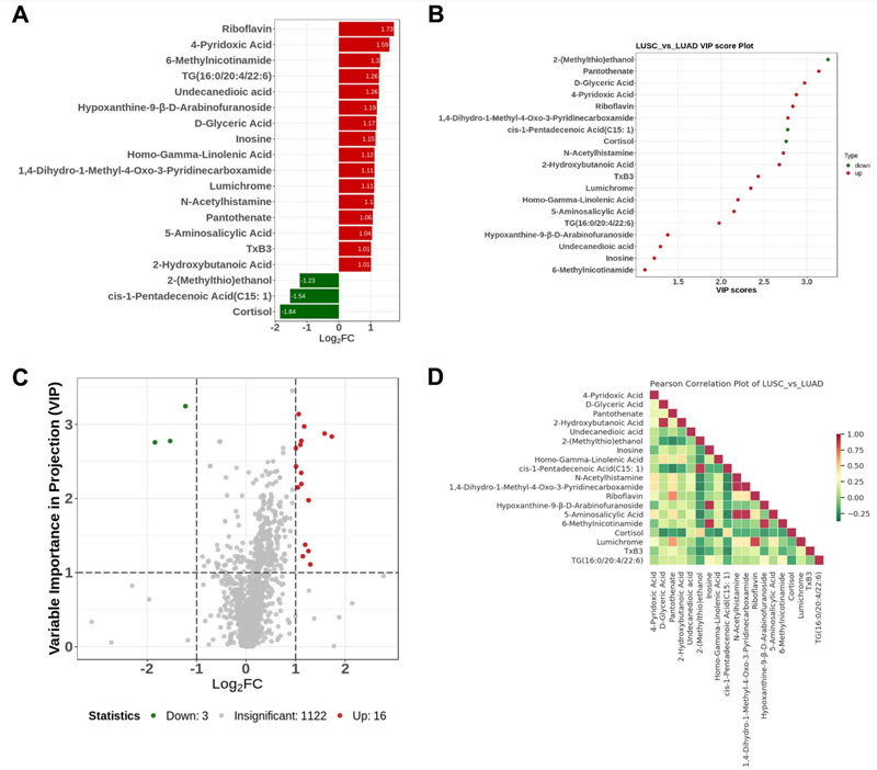 Metabolomics And Cancer