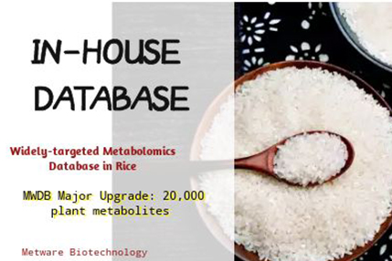 Widely-targeted Metabolomics Database in Rice