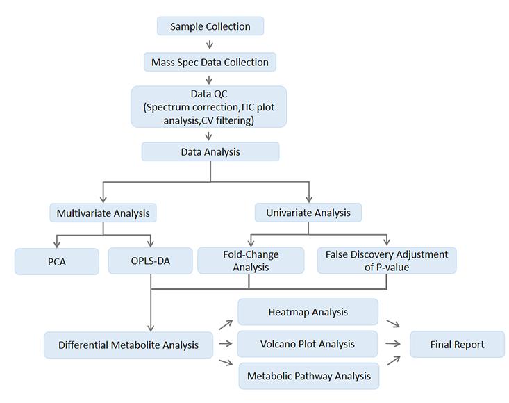 Project Workflow of Energy Targeted Metabolomics Service