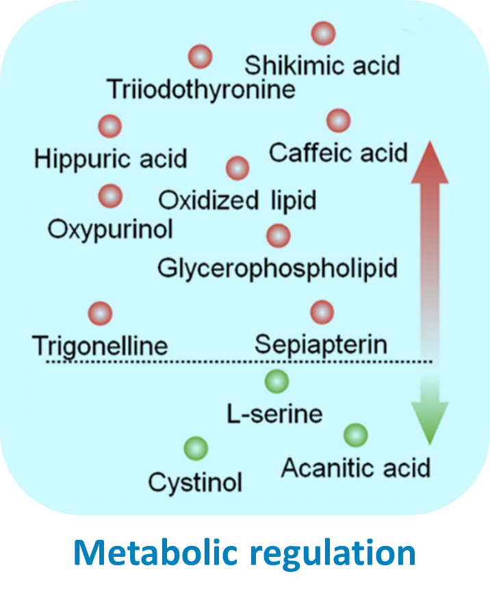 Metabolomics_Lipidomics_Osteonecrosis_expression