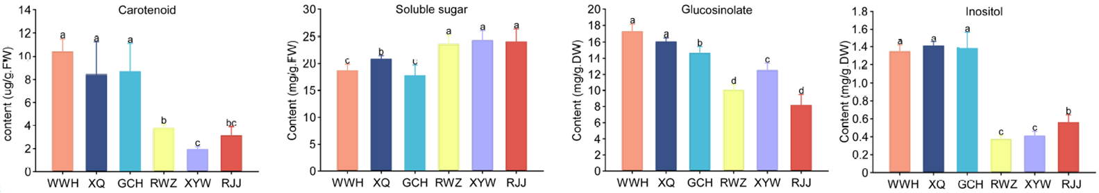 Multiomics Identifies Key Regulators in Cabbage Nutrients