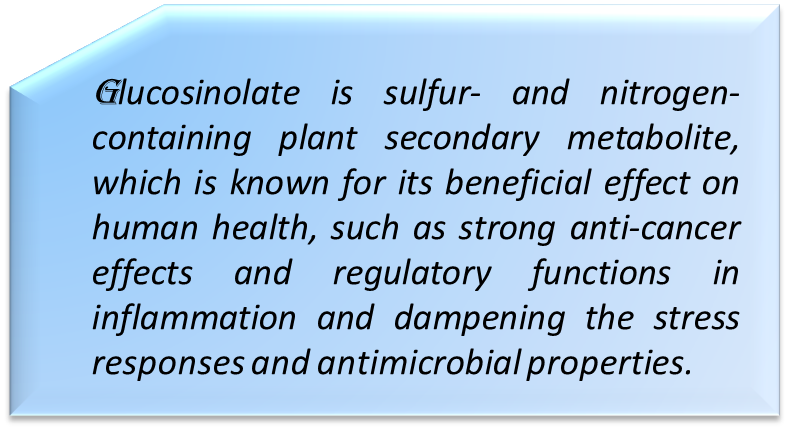 Multiomics Identifies Key Regulators in Cabbage Nutrients