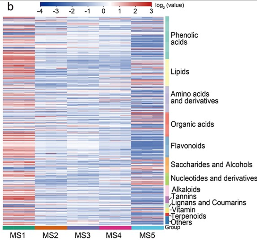 High Reproducibility of Widely-Targeted Metabolomics