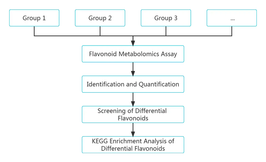 Project Workflow of Flavonoids Metabolomics Service