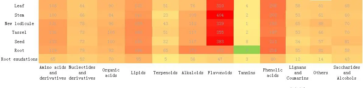 Analysis Of Detected Metabolites Wide Coverage