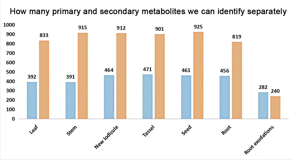 Detecting And Quantifying The Primary And Secondary Metabolites Of Different Tissues In Rice