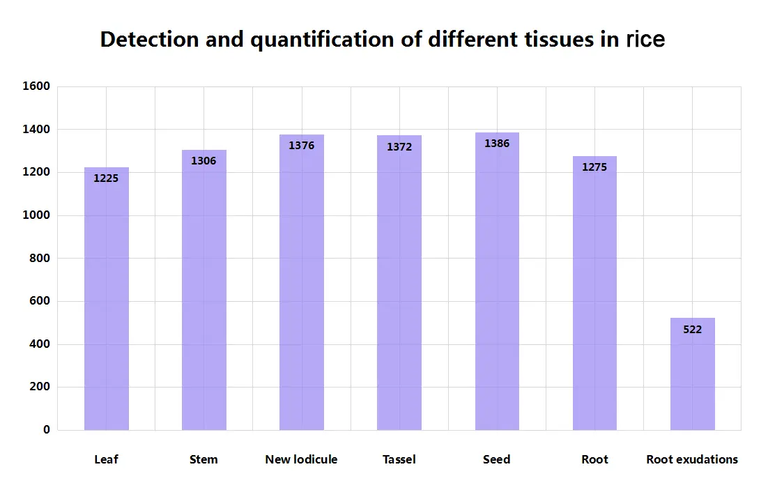 Detection And Quantification Of Different Tissues In Rice