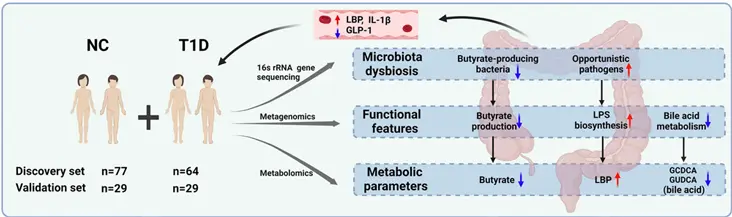 Gut microbiota and metabolomics in type 1 diabetes research