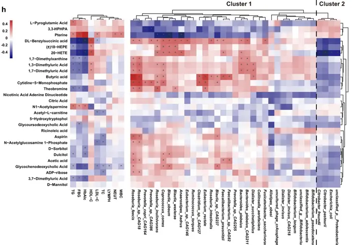 Gut microbiota and metabolomics in type 1 diabetes research