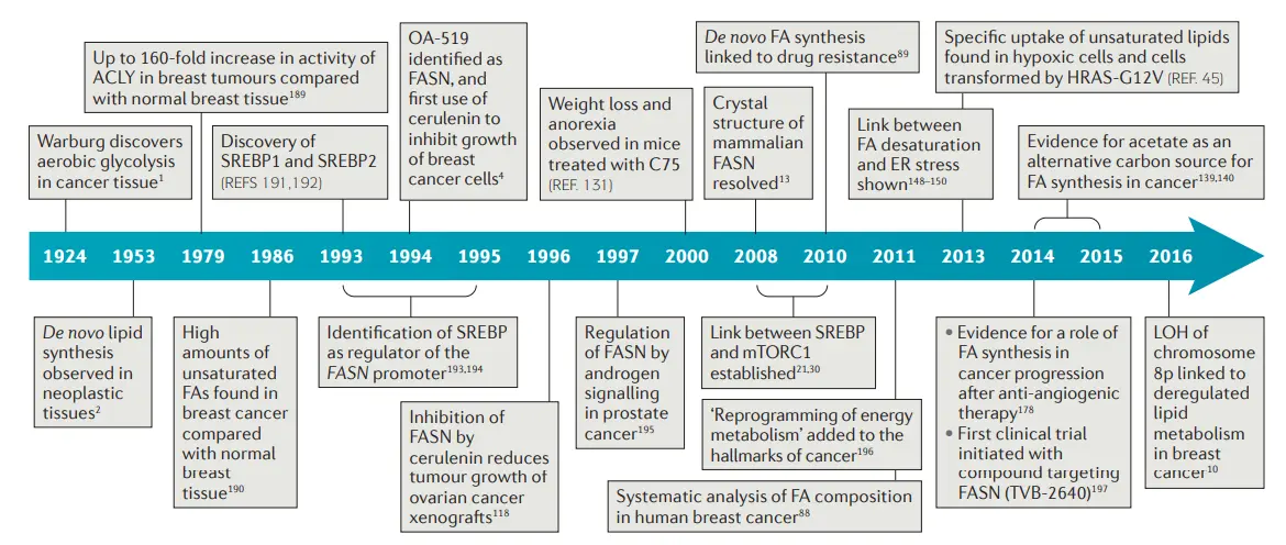 Fatty acids: its classification, synthesis pathways and related diseases