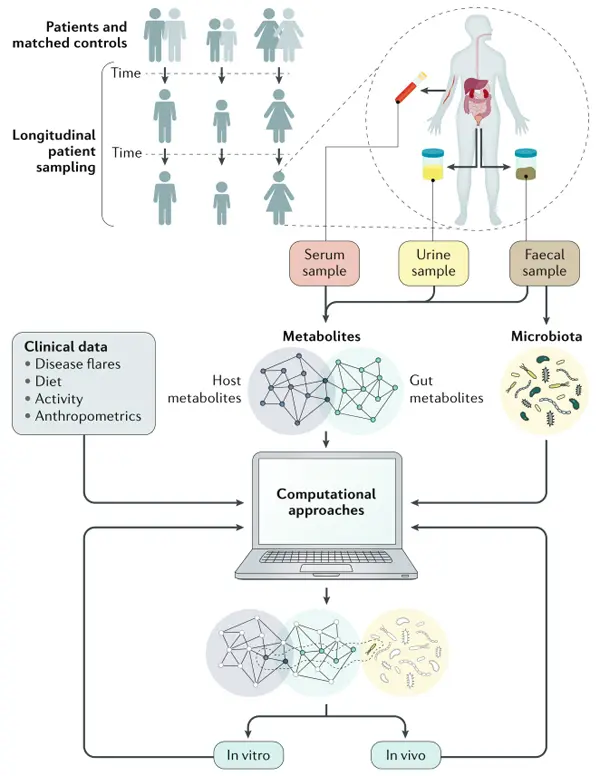 Microbiome-Metabolomics Research Process