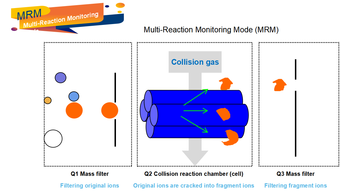 MRM-detection-mode-based-on-LC-MSMS.