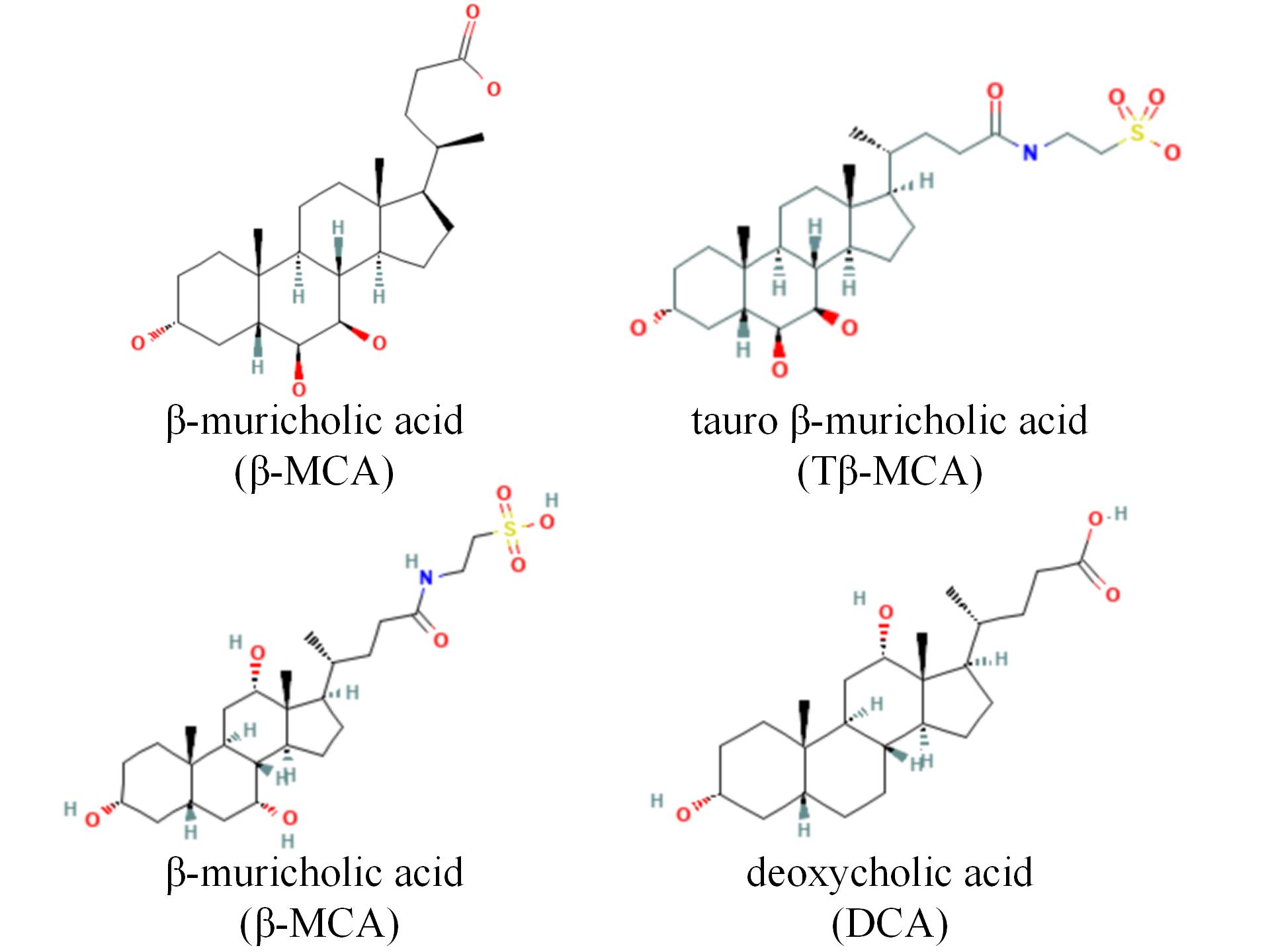 Structure-of-bile-acids