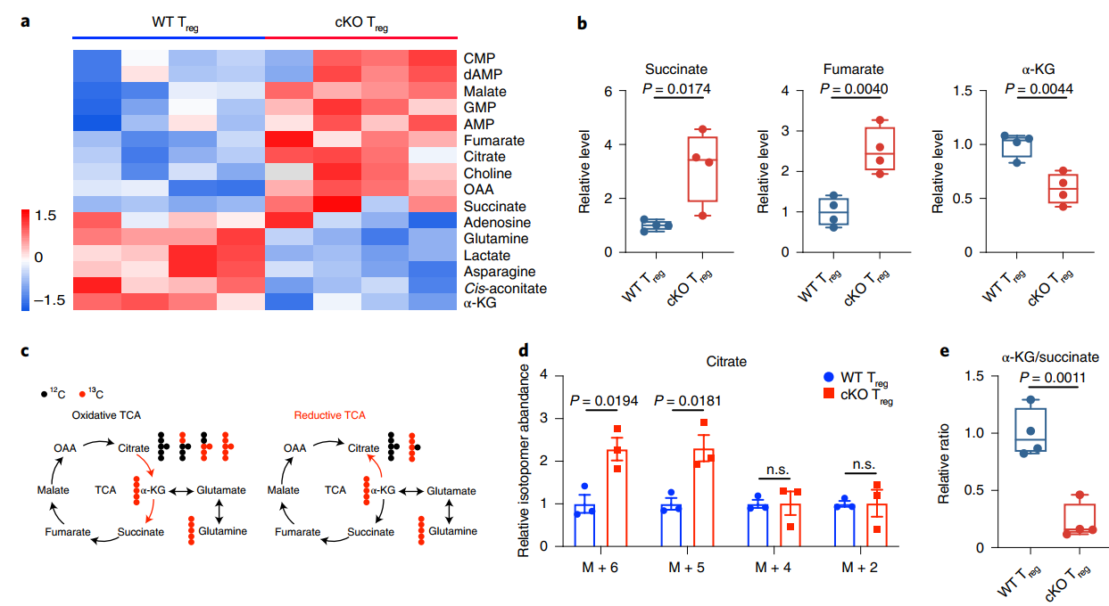 targeted_metabolomics_of_Treg_cells