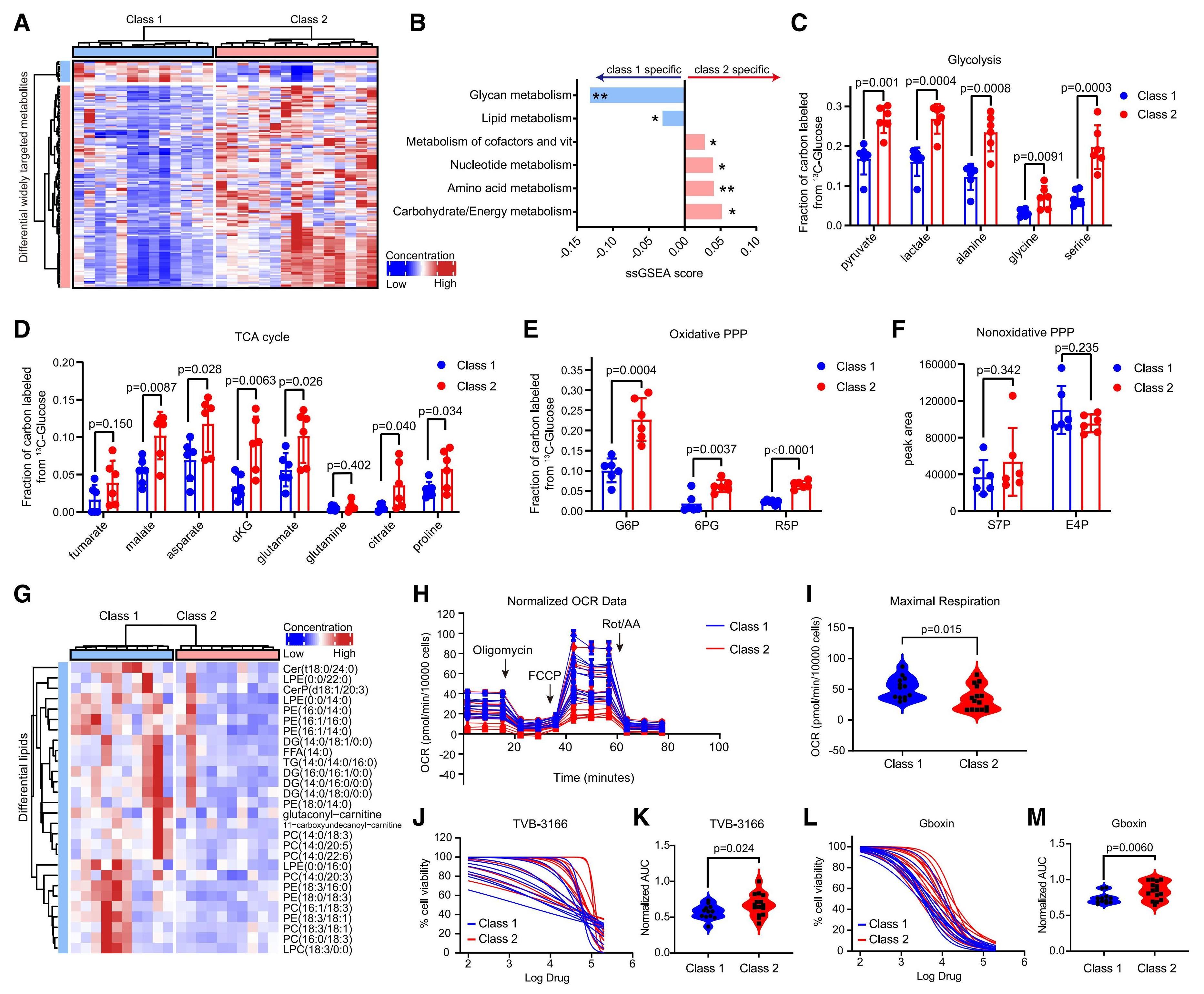 Metabolite_profiling_stratifies_PDAC_into_two_subtypes.jpg