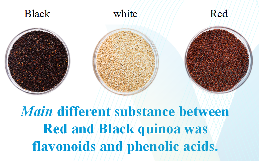 quinoa_grains_of_different_colors