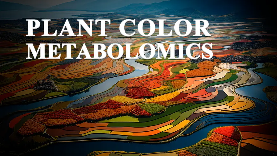 Plant Color Metabolomics (1/2)