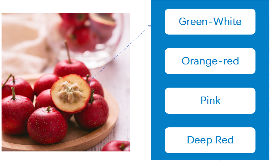 hawthorn_fruits