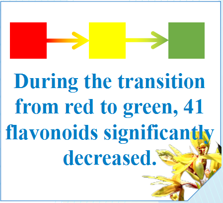 Plant_Pigmentation_metabolomics_Color_Development_in_Cymbidium_sinense_Leaves_at_Different_Growth_Stages