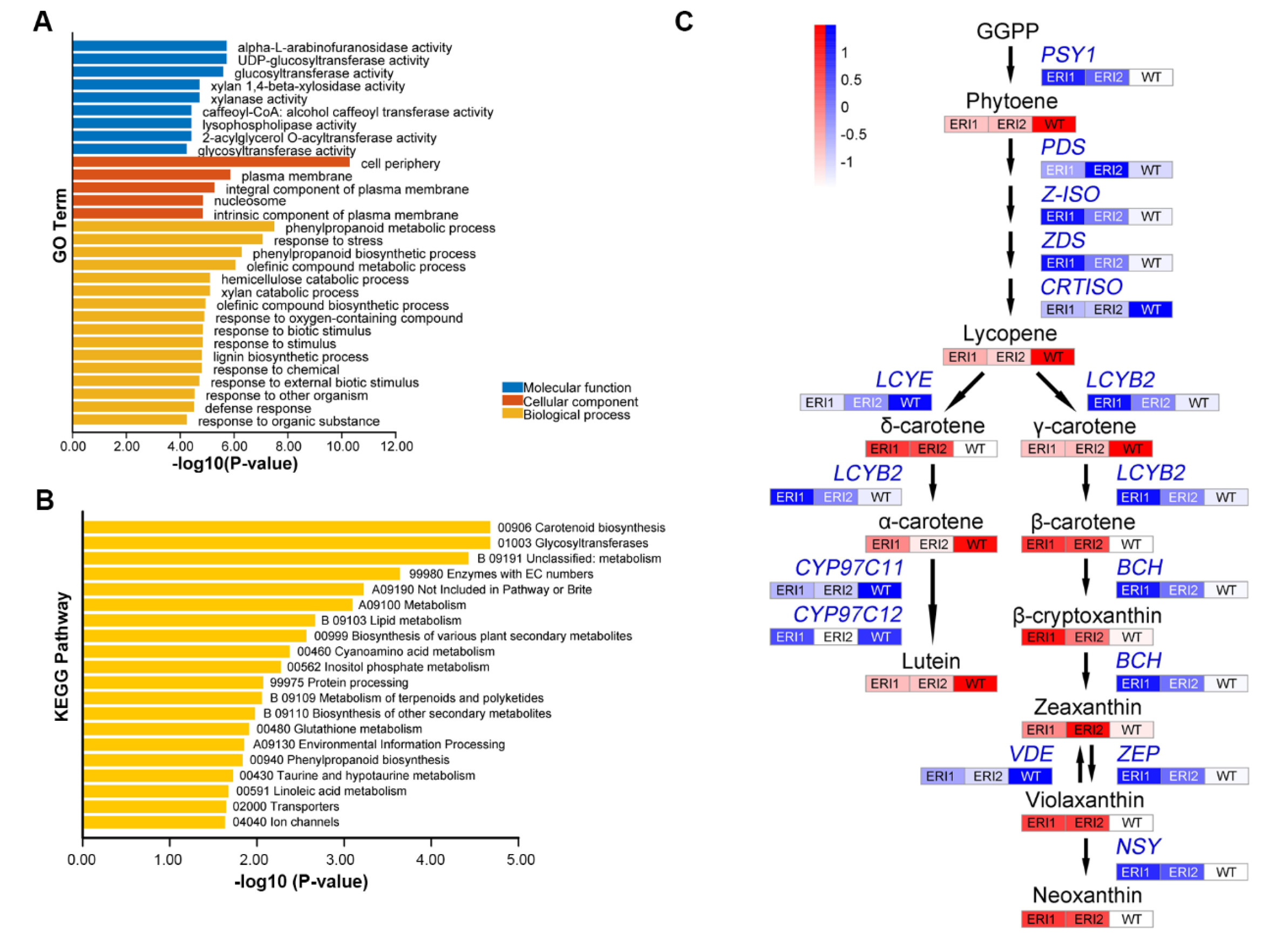 tomato_metabolomics_analysis_of_carotenoid_metabolism_in_the_ERI_lines_and_the_WT