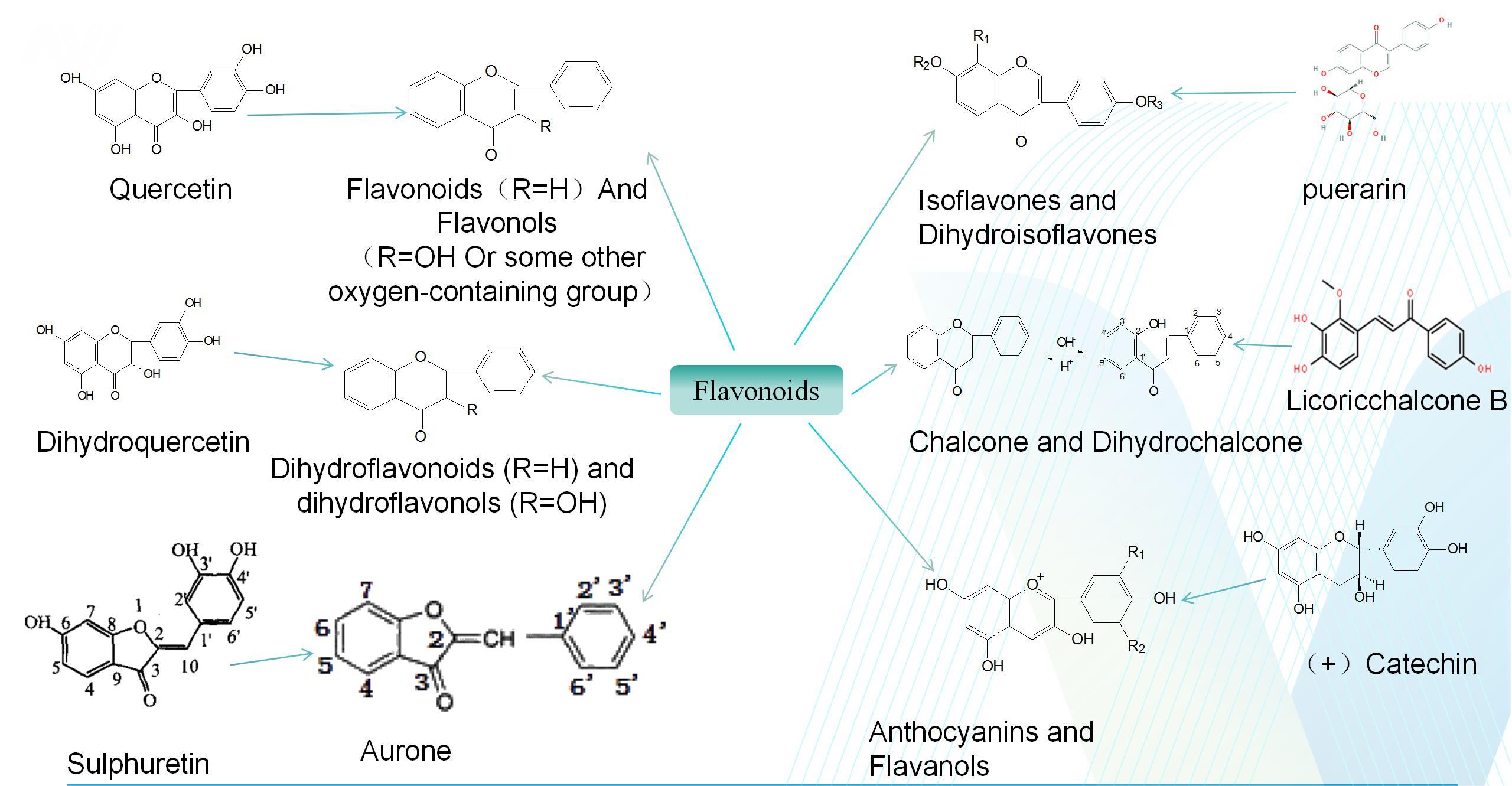 MetwareBio_Flavonoid_Metabolomics_Structural_Characteristics_of_different_Flavonoids