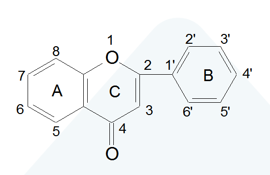 metabolomics_Core_structure_of_Flavonoids