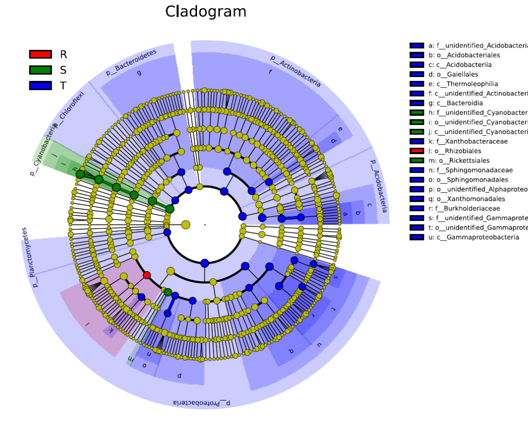 microbiome_analysis_Taxonomic_classification_dendrogram