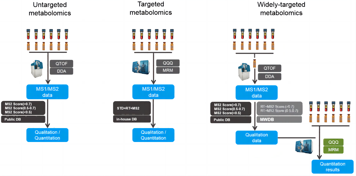 Targeted_vs_Untargeted_vs_Widely-targeted_Metabolomics_workflow