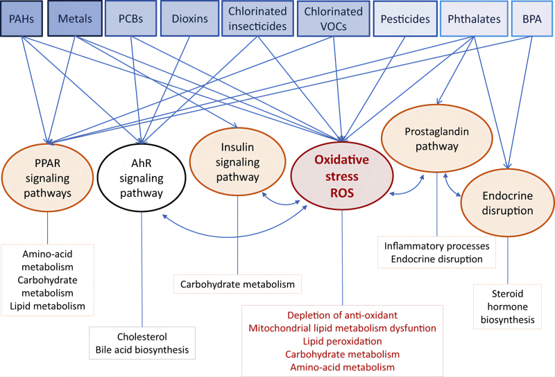 Metabolic_Profiles_of_Various_Environmental_Exposures