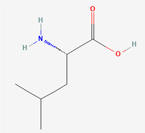 Figure_1._The_structure_of_leucine_(image_adapted_from_PubChem)