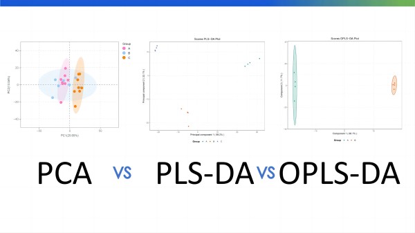Metabolomic Analyses: Comparison of PCA, PLS-DA and OPLS-DA