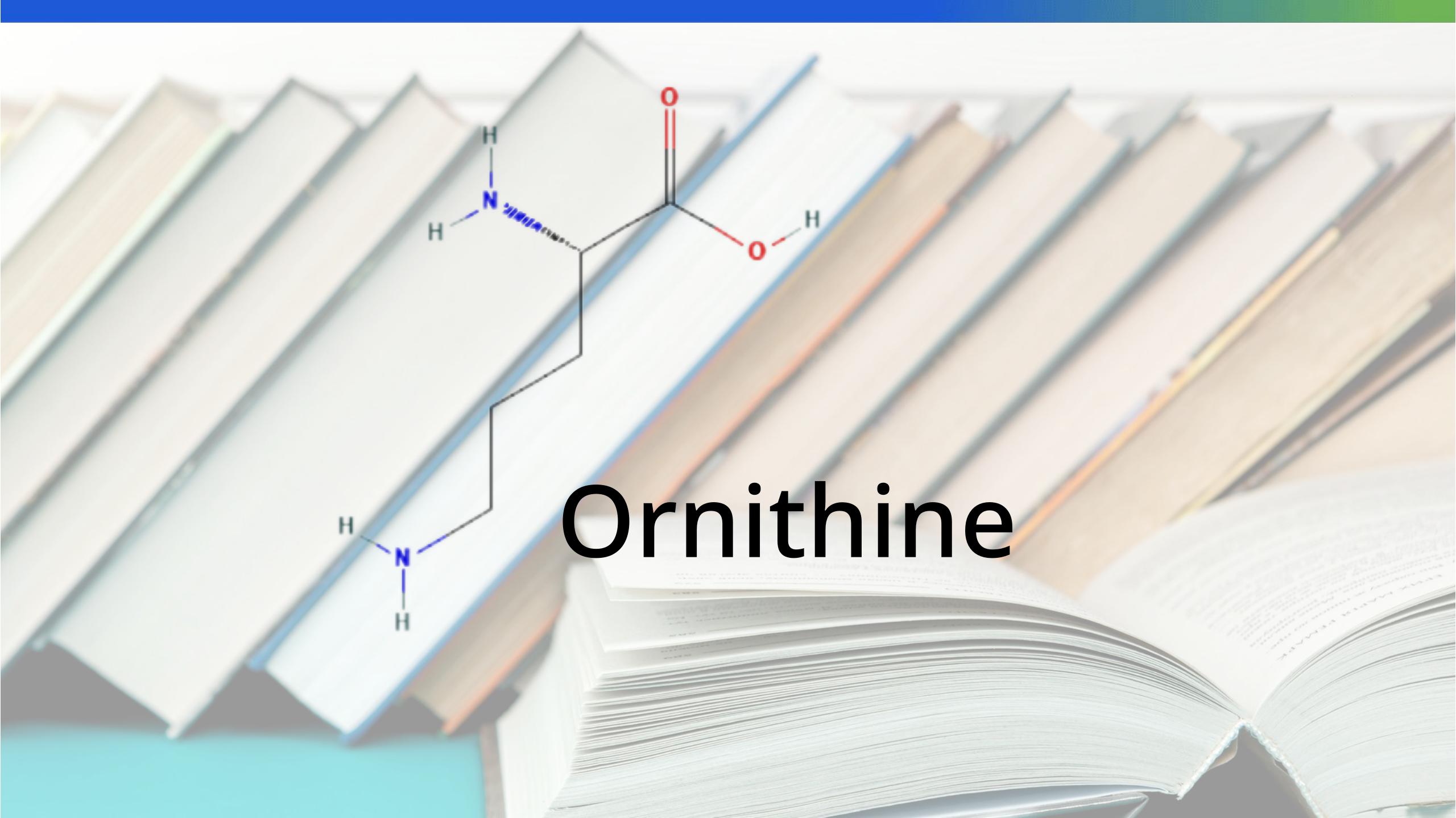 Unveiling Ornithine: Beyond the Urea Cycle, A Multifaceted Player in Health