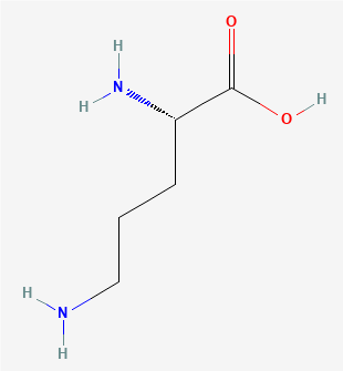 Figure_1._The_structure_of_ornithine_(image_adopeted_from_PubChem)